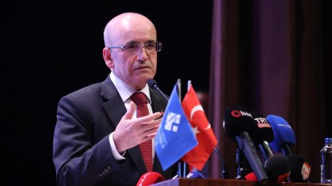 mehmet şimşek, hazine ve maliye