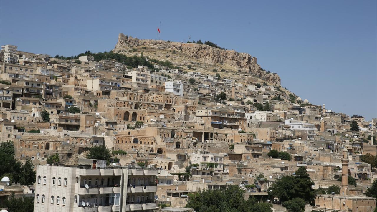 mardin (naci görür)