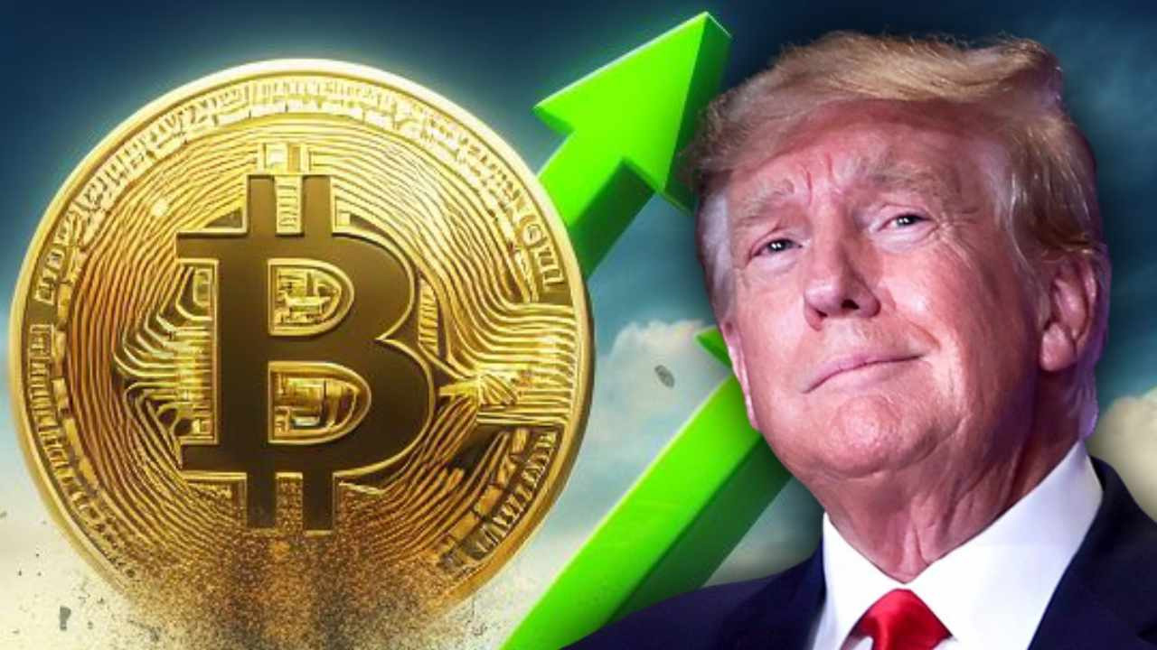 Bitcoin Trump