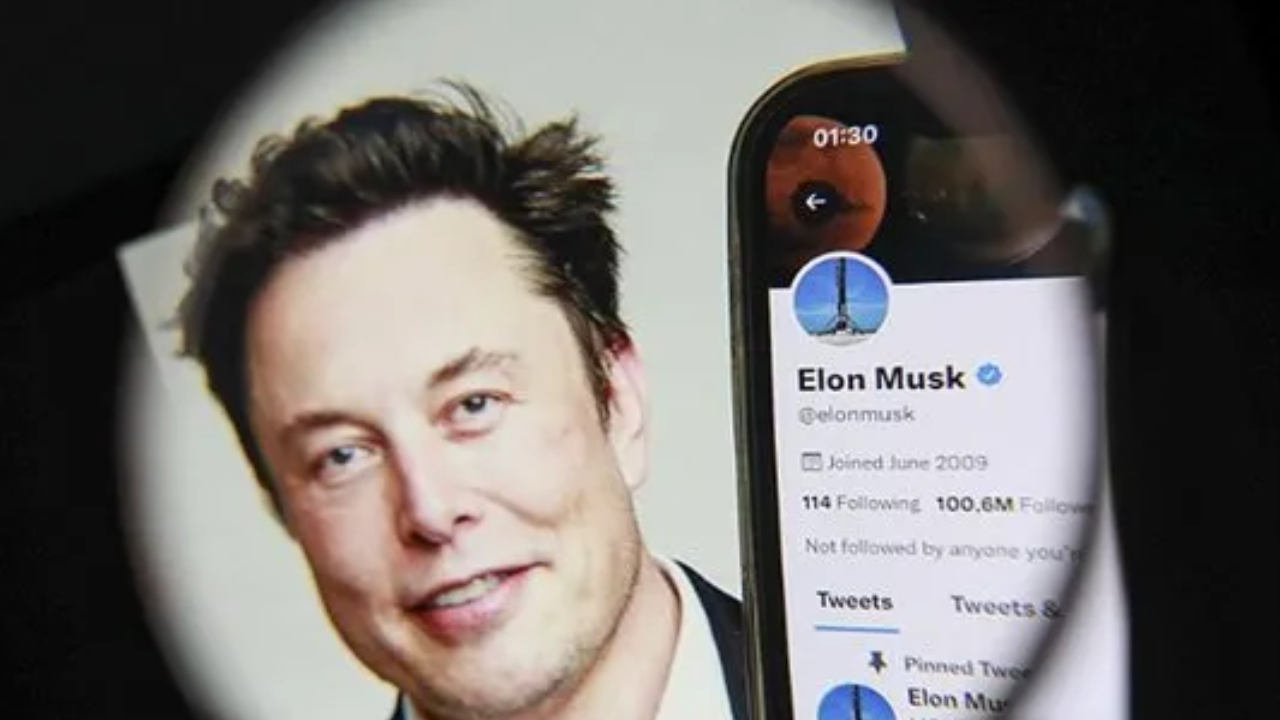 elon musk X