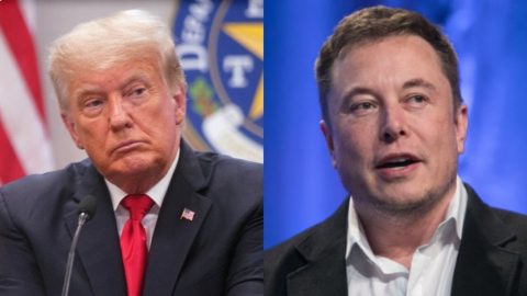 donald trump, elon musk