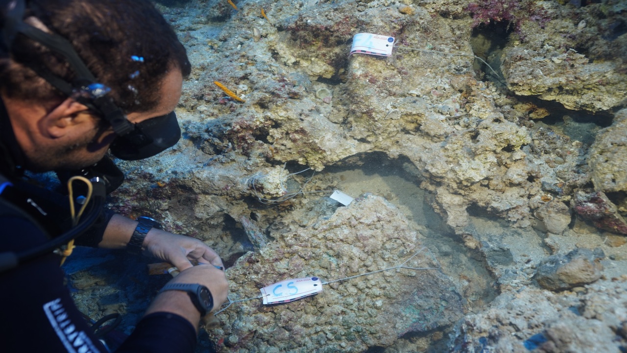 Akdeniz’in Gizli Tarihi Gün Yüzüne Çıkıyor: 3.600 Yıllık Hançer Kumluca’da Bulundu