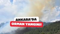 Ankara'da Orman Yangını: Kızılcahamam'daki Alevler Bolu'ya Sıçradı!