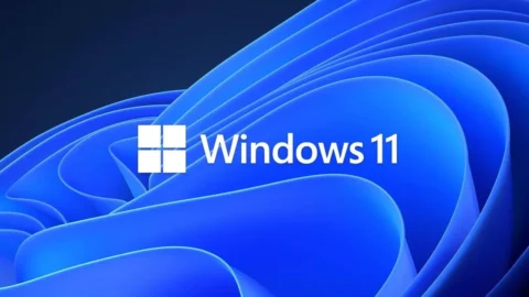 windows 11