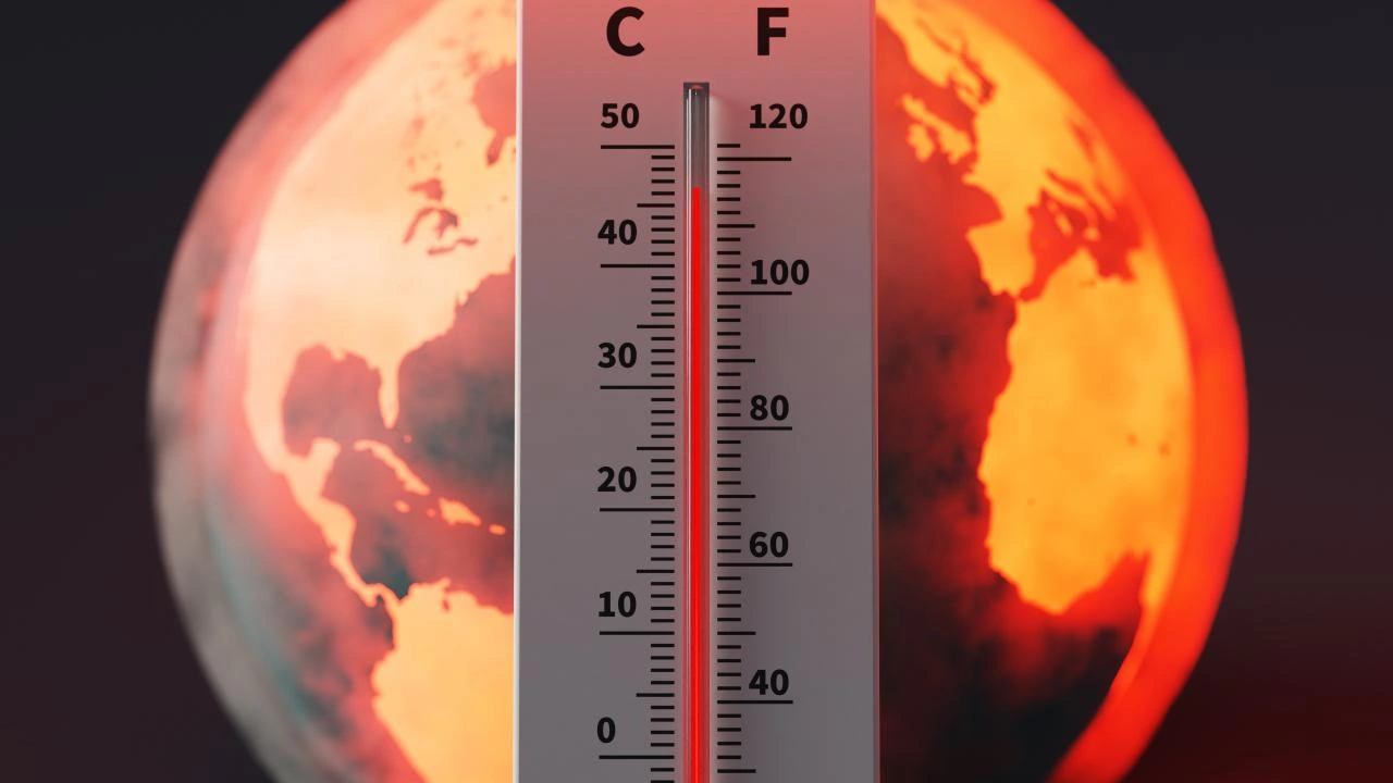 dünya meteoroloji örgütü