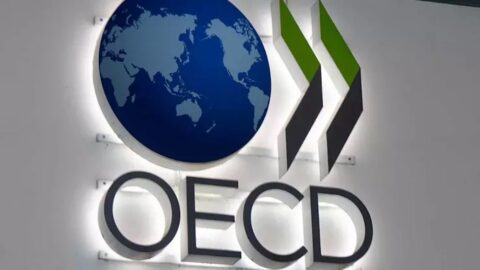 OECD, Türkiye'nin Ekonomik Tahminlerini Güncelledi