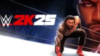 wwe 2k25