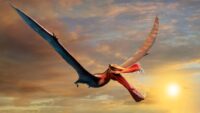 Pterosaurların Uçuşta Kuyruk Kanatlarının Rolü Keşfedildi