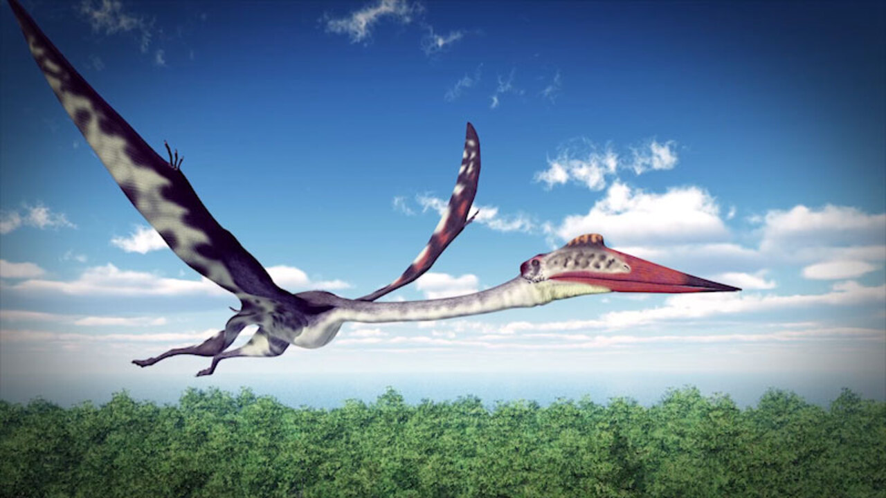 Pterosaurların Uçuşta Kuyruk Kanatlarının Rolü Keşfedildi