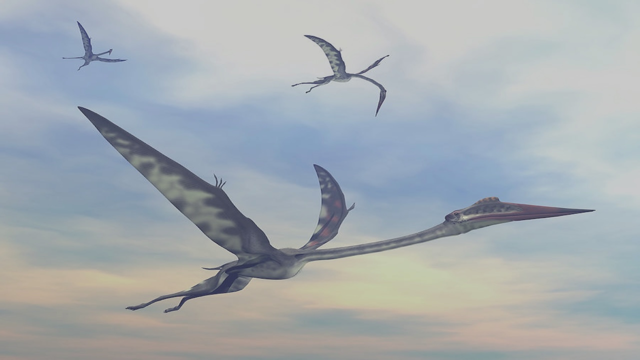 Pterosaurların Uçuşta Kuyruk Kanatlarının Rolü Keşfedildi