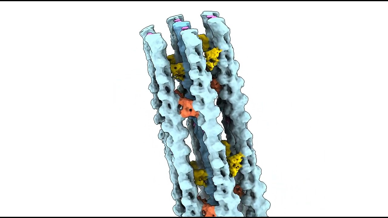 Kanserin Yayılmasını Sağlayan Protein Yapısı Çözüldü